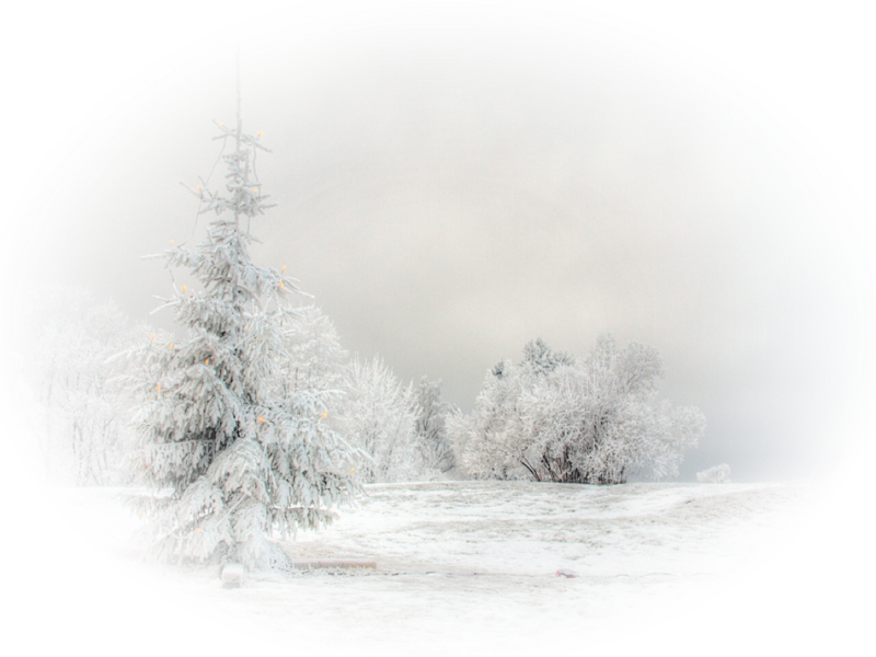 Rsultat de recherche dimages pour snow landscape