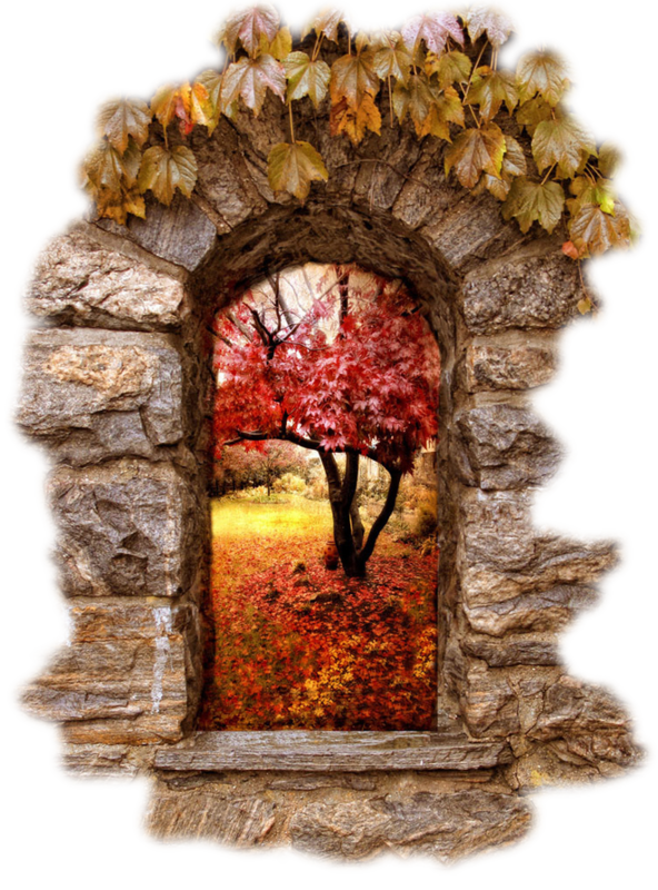 image automne - fond pour créa automne 