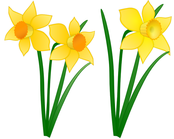 Coloriage Fleur De Printemps