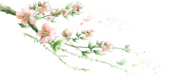 Flowers Fruits Pretty Things Take Me Away Wanting You Flowers Fruits Pretty Things Take Me Away Wanting You