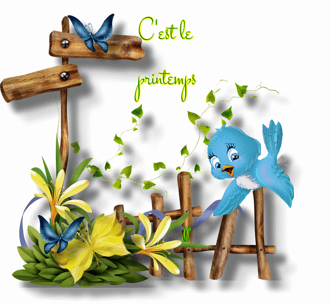 printemps-carte animée-oiseau bleu animé-vive le printemps
